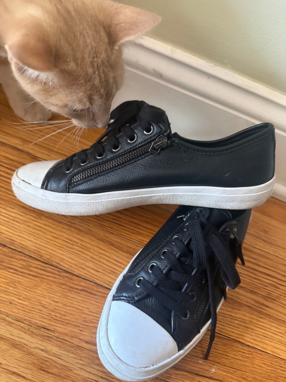 Coach Black Leather Low-Top Sneakers with White Toe Caps - Picture 2 of 5